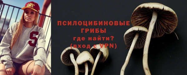 спайс Инта
