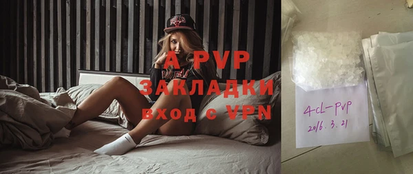 спайс Инта