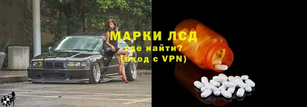 спайс Инта