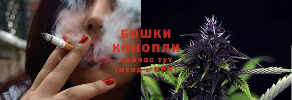 спайс Инта