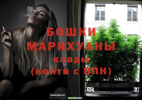 спайс Инта