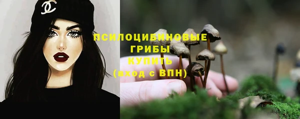 герыч Иннополис
