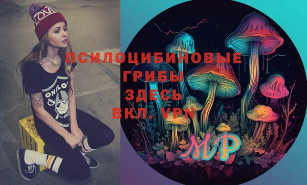 mdma Каменногорск