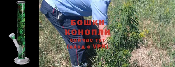 ALPHA-PVP Инсар