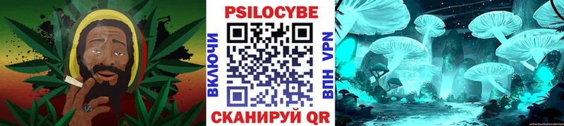 Галлюциногенные грибы Cubensis цены наркотик Киселёвск